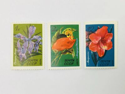Лот: 23315307. Фото: 1. Тропические и субтропические растения... Марки
