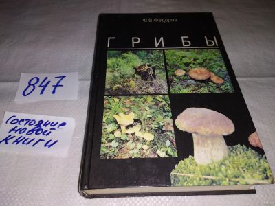Лот: 12814369. Фото: 1. Oz. Грибы, Федор Федоров, В красочной... Сад, огород, цветы