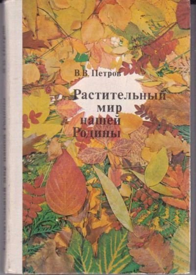 Лот: 23441835. Фото: 1. Растительный мир нашей родины. Сад, огород, цветы