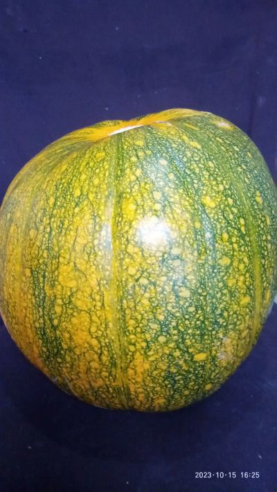 Лот: 20924434. Фото: 1. Тыкву 6кг. # 2. Овощи, фрукты, зелень