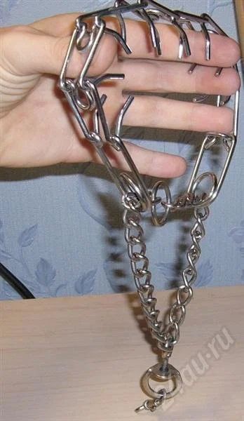 Лот: 279223. Фото: 1. Ошейник - строгий. Ошейники, одежда, конное снаряжение