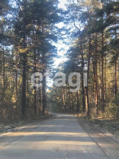 Лот: 25296931. Фото: 1. участок , СНТ Есаульский Бор СНТ... Земельные участки