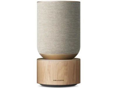 Лот: 21362155. Фото: 1. Акустическая система Bang & Olufsen... Портативные, беспроводные колонки