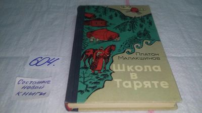 Лот: 10643700. Фото: 1. Платон Малакшинов, Школа в Таряте... Художественная