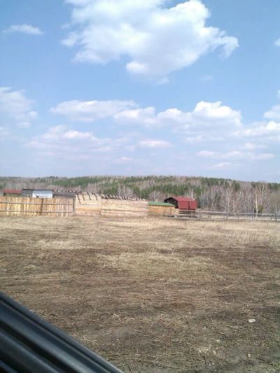 Лот: 3997909. Фото: 1. Земельный участок 25 соток Емельяновский... Земельные участки