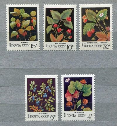 Лот: 6811854. Фото: 1. 1982 СССР Декоративные ягоды Флора... Марки