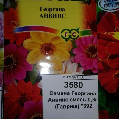 Лот: 9114547. Фото: 1. Семена / цветы / Георгина / Анвинс... Садовые цветы