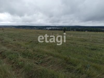 Лот: 25284788. Фото: 1. участок , деревня Таскино деревня... Земельные участки