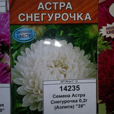 Лот: 9111886. Фото: 1. Семена / цветы / Астра / Снегурочка... Садовые цветы