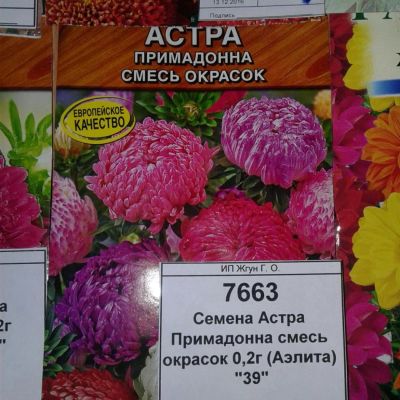 Лот: 9113368. Фото: 1. Семена / цветы / Астра / Примадонна... Садовые цветы