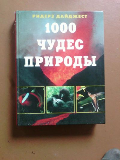 Лот: 9916919. Фото: 1. энциклопедия. Энциклопедии