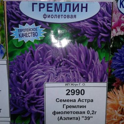 Лот: 9111200. Фото: 1. Семена / цветы / Астра / Гремлин... Садовые цветы