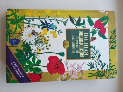 Лот: 25046181. Фото: 1. Энциклопедия народной медицины. Популярная и народная медицина