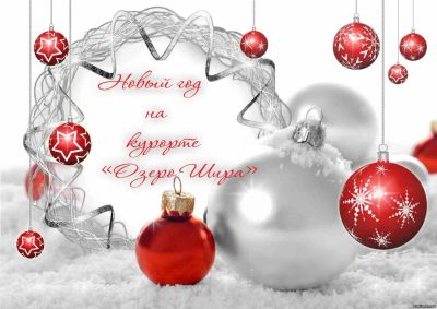 Лот: 6591305. Фото: 1. Новый Год на "Курорте "Озеро Шира... Подарки на Новый год
