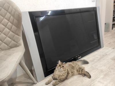 Лот: 19002868. Фото: 1. Телевизор Philips 50`` в отличном... Телевизоры