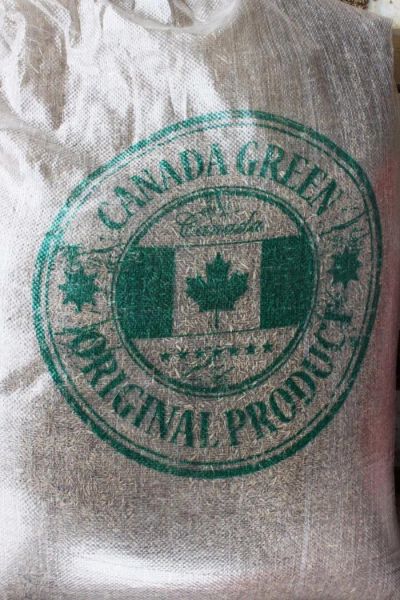 Лот: 4126933. Фото: 1. Семена газона Canada Green FROST... Газоны