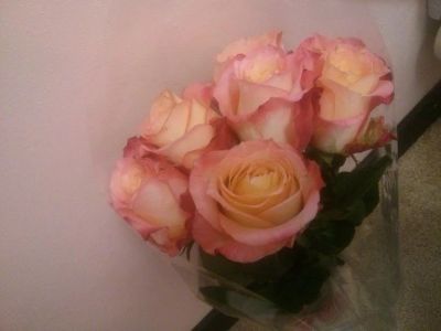 Лот: 9537246. Фото: 1. Букет 7 розовых роз. Свежие цветы