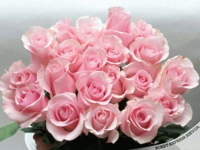 Лот: 6787958. Фото: 1. 25 самых красивых роз, по самым... Свежие цветы