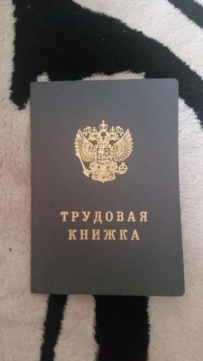 Лот: 7539865. Фото: 1. трудовая книжка. Другое (литература, книги)
