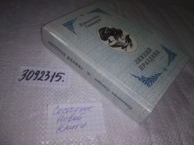 Лот: 24583996. Фото: 1. (3092315)Стюарт Елизавета. Зимний... Художественная