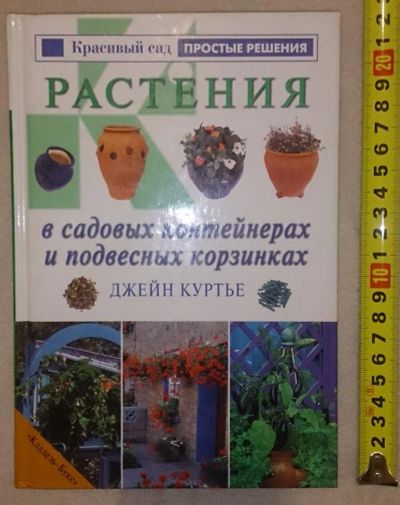 Лот: 7148806. Фото: 1. Растения в садовых контейнерах... Сад, огород, цветы