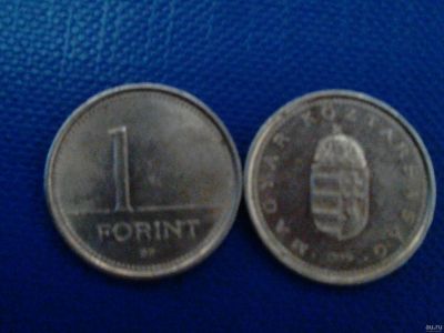 Лот: 13845615. Фото: 1. Монета Аргентины 1 forint. Наборы монет