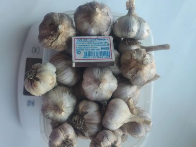 Лот: 5954168. Фото: 1. продам зимний чеснок нового урожая... Овощи, фрукты, зелень