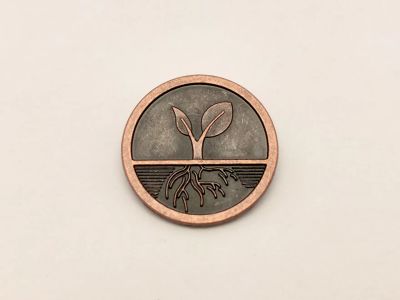 Лот: 20503822. Фото: 1. Обычная монета из пятёрочки Анкур... Сувенирные
