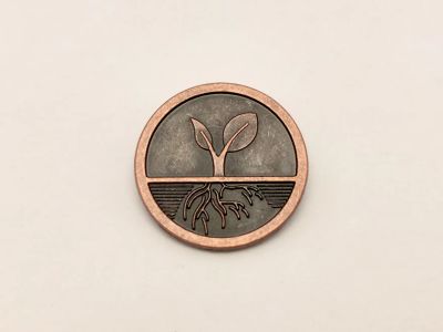 Лот: 20503822. Фото: 1. Обычная монета из пятёрочки Анкур... Сувенирные