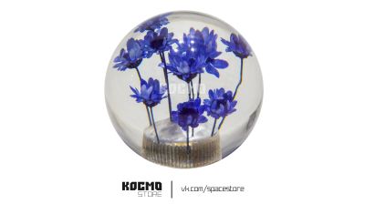 Лот: 20776947. Фото: 1. Ручка КПП "Цветы", шар, цвет фиолетовый. Другое (автозапчасти)