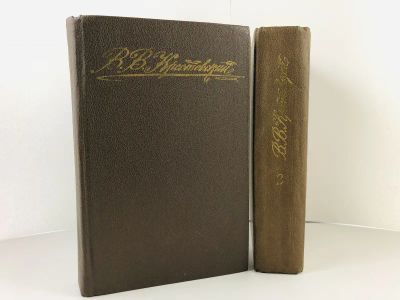 Лот: 23304010. Фото: 1. Петербургские трущобы. Книга о... Художественная