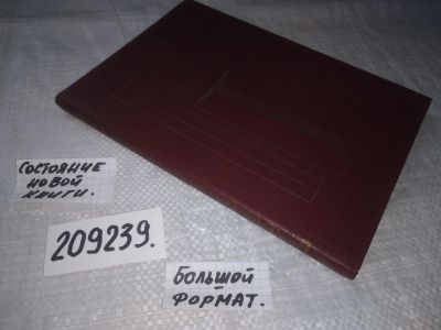 Лот: 21137439. Фото: 1. (209239) Рябов, В.Ф. Человек творит... Познавательная литература