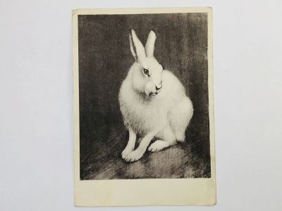 Лот: 23298242. Фото: 1. Ватагин В. А. Заяц. Открытка... Открытки, конверты