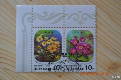 Лот: 12744173. Фото: 1. Марки КНДР 1994г. Цветы. Марки