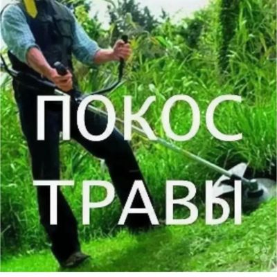 Лот: 25349364. Фото: 1. Покос травы триммером. Благоустройство и озеленение участка