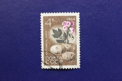Лот: 7359189. Фото: 1. Почтовая марка №4813 в коллекцию. Марки