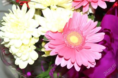 Лот: 1697941. Фото: 1. Canon 300D. Цифровые зеркальные