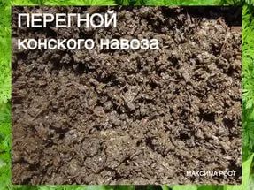 Лот: 9617273. Фото: 1. Конский перегной этого года с... Удобрения, химия
