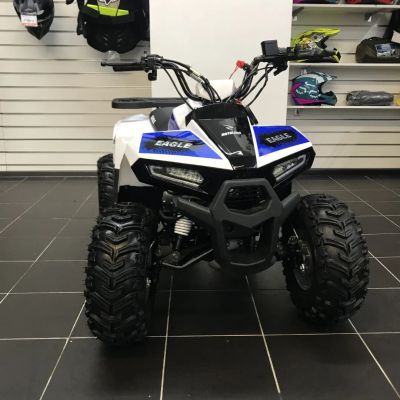 Лот: 24066336. Фото: 1. Квадроцикл ATV 110 Eagle. Снегоходы, квадроциклы