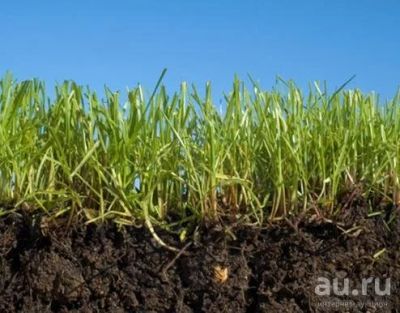 Лот: 7889716. Фото: 1. 10 соток Земля р-н Сухой Балки... Земельные участки