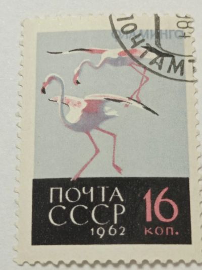Лот: 19674171. Фото: 1. Марка СССР 1962 г. Фауна. Фламинго... Марки