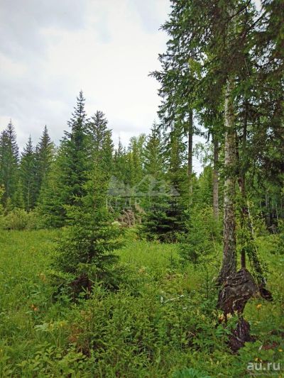Лот: 15710530. Фото: 1. Продается участок 10 сот. , цена... Земельные участки