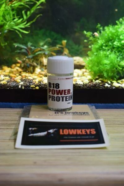Лот: 9900888. Фото: 1. B18 power protein (корм, креветки... Корма