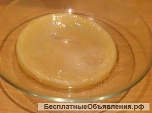Лот: 8711318. Фото: 1. Отдам чайный гриб. Народная медицина, БАДы