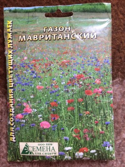 Лот: 8256022. Фото: 1. Газон Мавританский. Садовые цветы