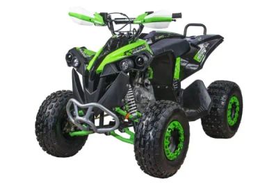 Лот: 25363225. Фото: 1. Квадроцикл YACOTA RENEGADE. Снегоходы, квадроциклы