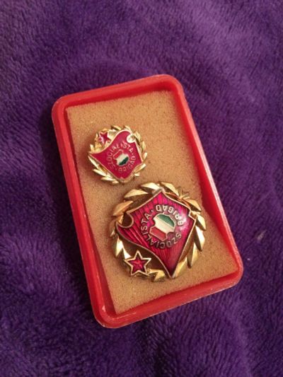 Лот: 15547536. Фото: 1. Значки. Сувенирные