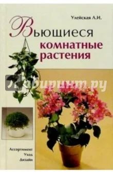 Лот: 5335027. Фото: 1. Вьющиеся комнатные растения. Улейская. Сад, огород, цветы