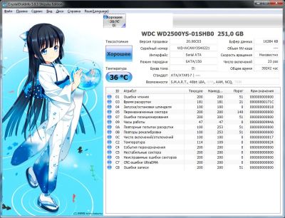 Лот: 9136050. Фото: 1. Жесткий диск HDD 250GB (250гб... Жёсткие диски (HDD)