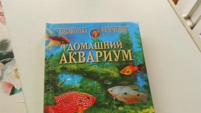Лот: 3728444. Фото: 1. Домашний аквариум. Домашние животные